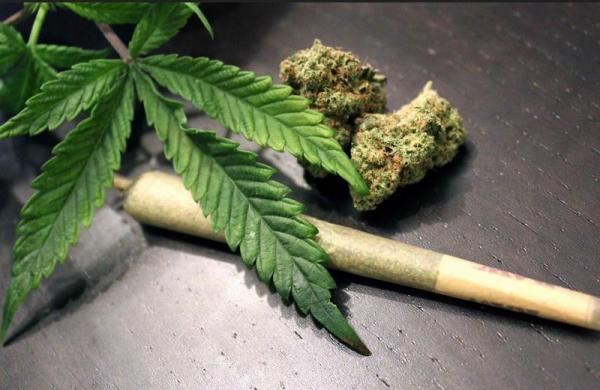 Polisi Tangkap Kurir Ganja Belasan Tahun di Tangerang, 3,4 Kg Barang Bukti Disita