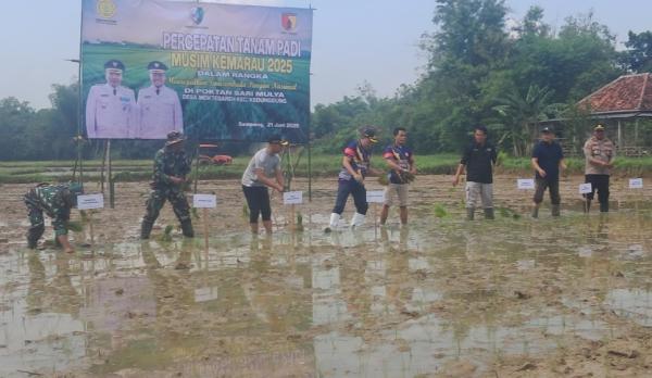 Sampang Percepat Tanam Padi di Musim Kemarau, Dukung Swasembada Pangan Nasional ala Presiden Prabowo