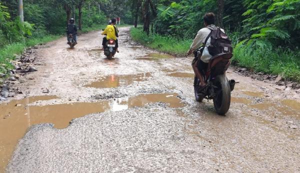 Jalan Margasari–Pagerbarang Kabupaten Tegal Rusak Parah, DPUPR Janji Segera Perbaiki