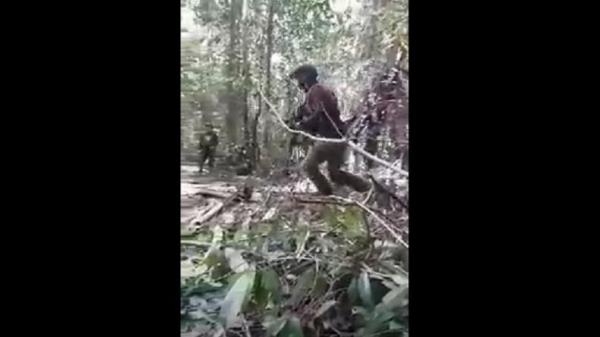 Kontak Senjata Dengan TNI Komandan Operasi OPM Tewas di Lanny Jaya Papua