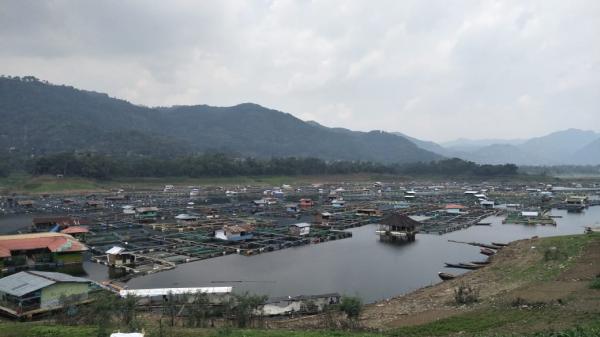 Imbas Kemarau dan Sumber Air Berkurang, Produksi Ikan KJA di KBB Turun
