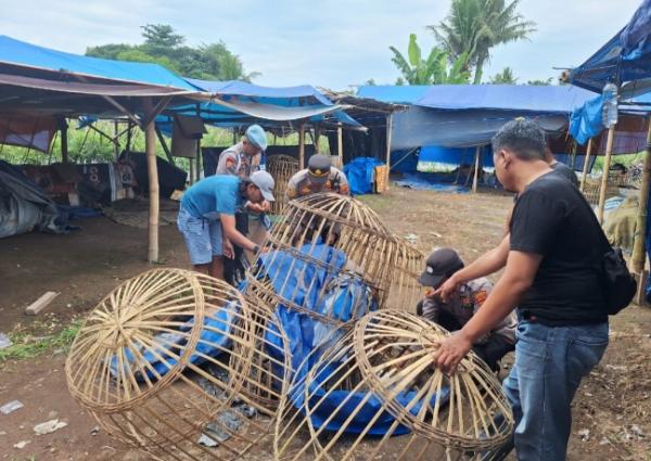 Penggerebekan Judi Sabung Ayam Banyuwangi Diduga Bocor, Polisi Hanya Temukan Arena Kosong