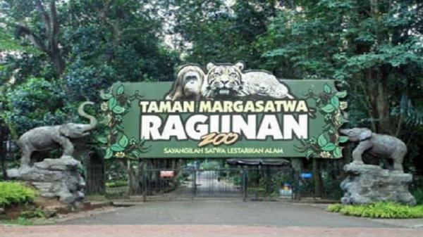 Tiket Masuk Taman Margasatwa Ragunan Diusul Naik Rp10.000, Pramono: Sangat Logis