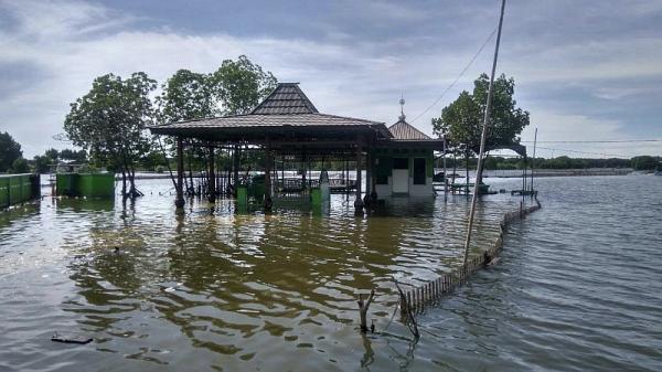 BMKG Peringatkan Potensi Banjir Rob di Pesisir Bekasi 9-16 Juli 2026 Akibat Fenomena Super New Moon