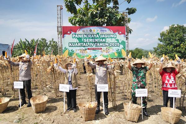 Panen Raya Jagung 45,94 Ton, Polda Jateng Tegaskan Polri Dukung Ketahanan Pangan Nasional
