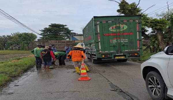 Warga Tanam Pisang, DPU Sragen Lakukan Penanganan Darurat Jalan Sumberlawang