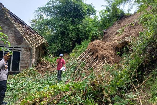 Tebing Setinggi 12 Meter Longsor Hancurkan Dinding Rumah Warga Kulonprogo