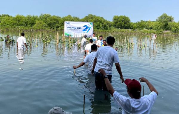 Cegah Abrasi dan Perubahan Iklim, 500 Bibit Mangrove Ditanam di Pesisir Laut Surabaya