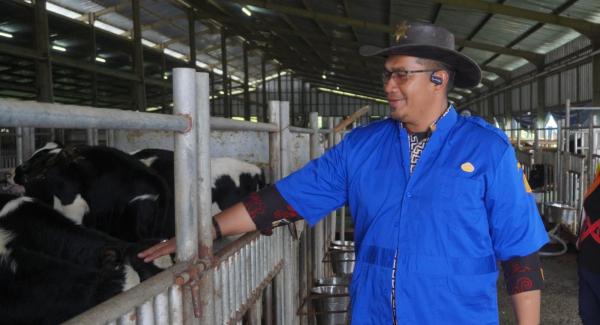 BBPTUHPT Baturraden Nyatakan Produksi dan Penjualan Susu Naik Dua Kali Lipat