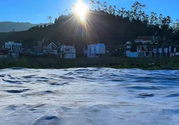Dataran Tinggi Dieng Membeku, Wisatawan Berburu Embun Es di Kompleks Candi Arjuna