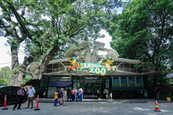 ‎Bandung Zoo Bersolek, dari Revitalisasi Satwa hingga Penataan Manajemen