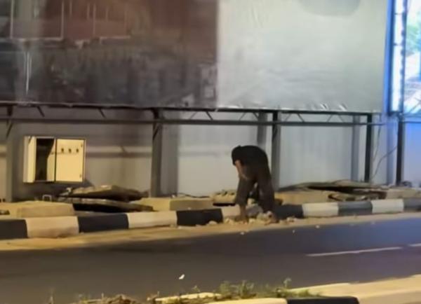 Aksi Rayap Besi Terekam Kamera Pelari Pagi di Terowongan Pelita Batam