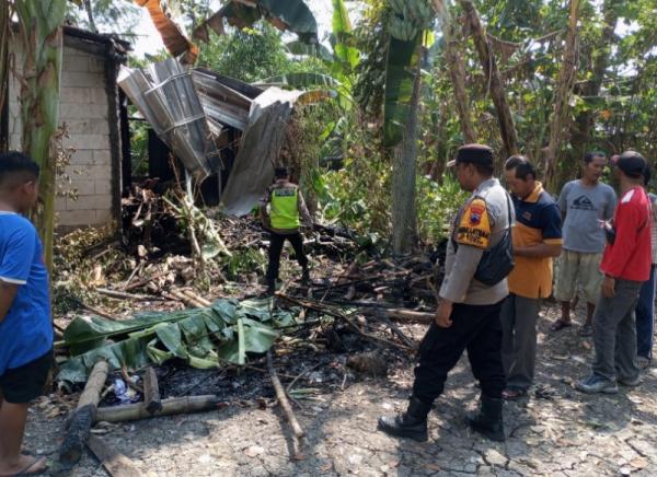 Warga Gercep Selamatkan Dua Ekor Sapi Saat Kandang Terbakar di Boloh Toroh