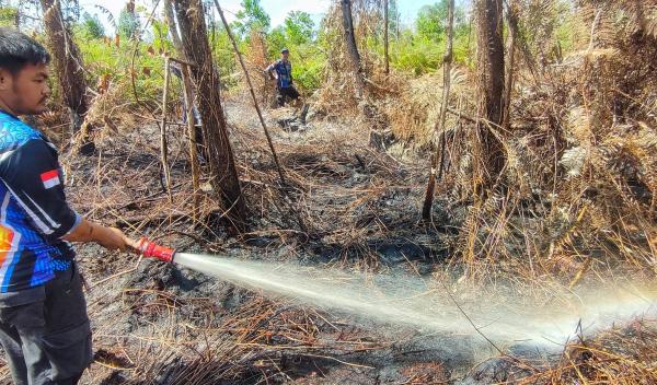 Tim Dalkarhutla Dishut Kalteng Padamkan Karhutla 0,12 Hektare, Respons Cepat Cegah Meluas