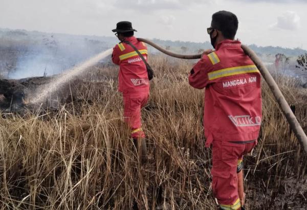 Kebakaran Hanguskan 9,7 Hektare Lahan di Inhu, 2 Helikopter Dikerahkan Padamkan Api