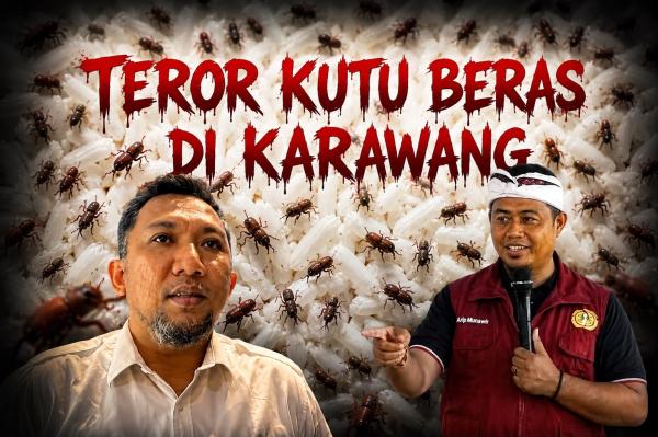 Pernyataan 'Nyeleneh' Bulog Karawang Soal Kutu Beras Dipatahkan Teori Ilmiah Akademisi UNSIKA