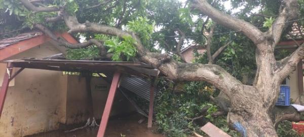 Banjir Situbondo Sisakan Luka, Sekolah Ini Rusak Parah, Nasib 345 Siswa Jadi Sorotan