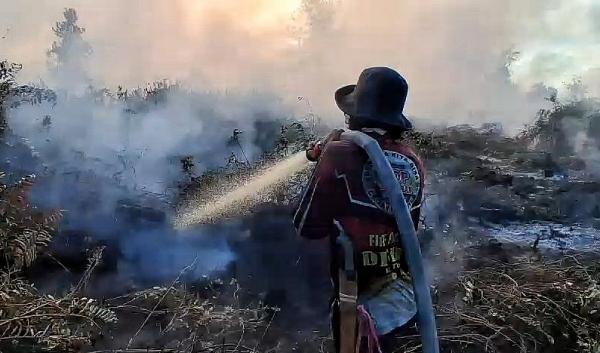 Tim Dalkarhutla Dishut kalteng Kembali Berjibaku Padamkan Kebakaran Lahan Gambut di Tumbang Nusa