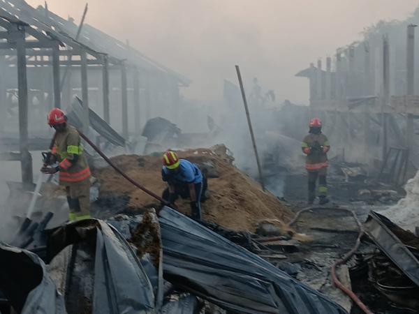 Kebakaran Kandang Ayam di Bojonegoro, 28 Ribu Ekor Ayam Mati terpanggang
