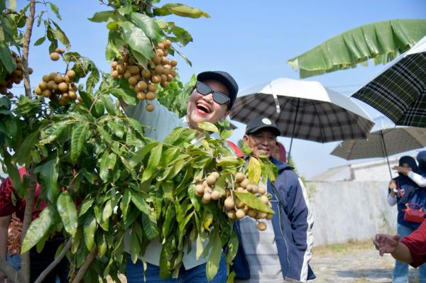 Agro Eduwisata Masjid Agung Semarang, Dorong Pengembangan Wisata Pertanian Kota Semarang