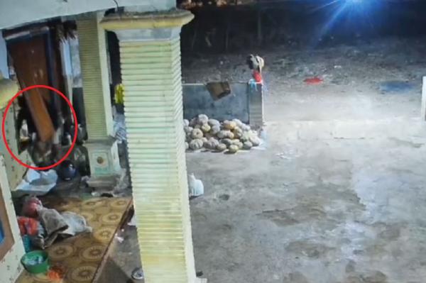 Hanya Berhasil Curi Uang Rp100.000, Pria Residivis di Tuban Kembali Ditangkap Polisi