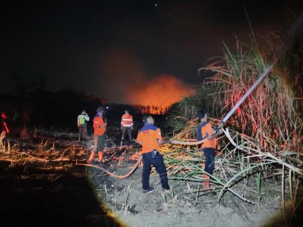 Dua Hektare Lahan Tebu di Kudus Tujuh Mobil Damkar Dikerahkan, Kerugian Capai Rp8 Juta