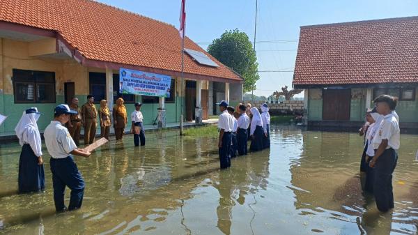 Banjir Rob di Dusun Kepetingan Sudah 9 Tahun, Warga Desak Pembangunan Tanggul Segera Diselesaikan