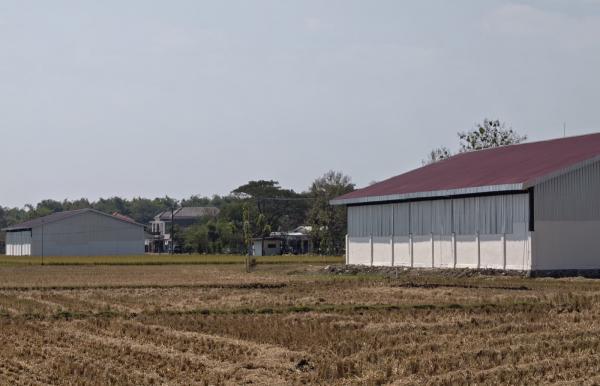Ramai! Ada Lokasi KDMP di Ponorogo Berdekatan Bikin Perbincangan Warga