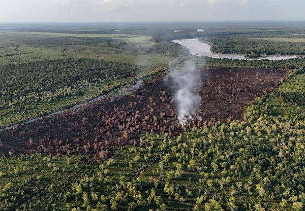 Pantau Karhutla dari Helikopter, Kadishut Kalteng Sebut Karhutla di Tumbang Nusa Hampir Padam