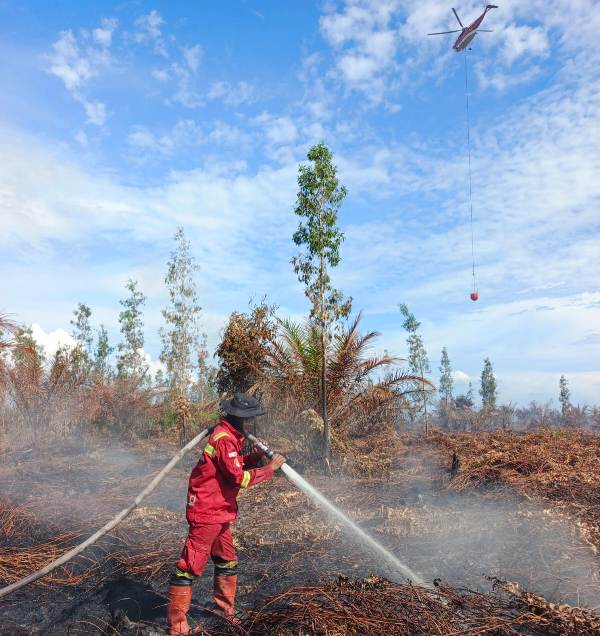 header img