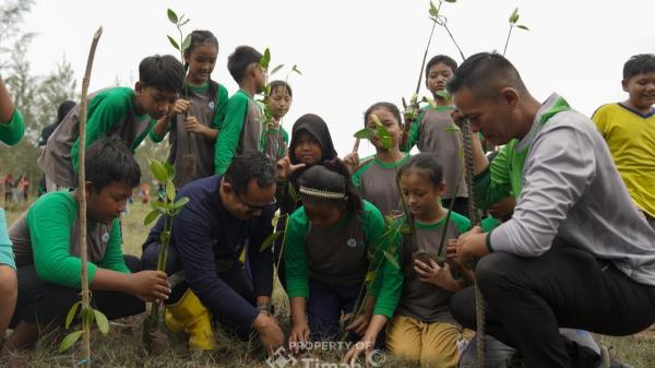 Reklamasi Lahan Bekas Tambang di Babel Capai 78,21 Hektare, Tanaman Produktif Jadi Andalan