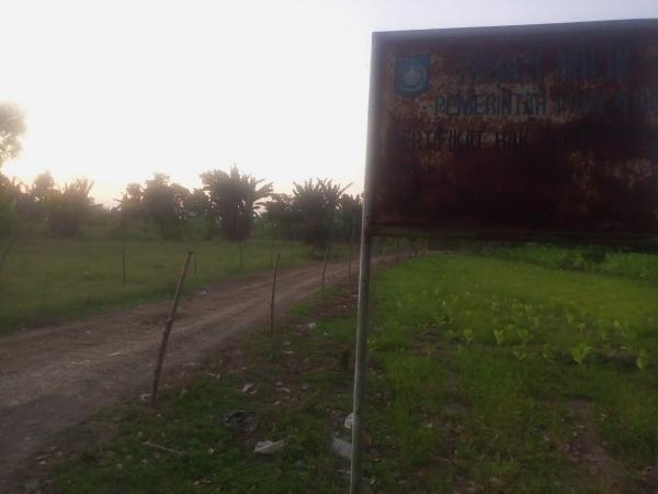 Petani Lombok Barat Minta Gubernur NTB Buat Jalan Usaha Tani, Akses Panen Masih Lewati Lahan Pemprov