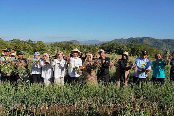 Ubah Kawasan Pegunungan Jadi Lahan Produktif, Bawang Merah Dongkrak Ekonomi Petani 