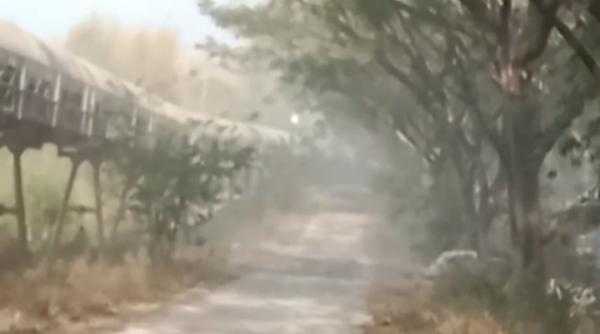 Pemukiman Dipenuhi Debu, Emak-emak di Tuban Nekat Tutup Akses Jalan Tambang Pabrik Semen ini Viral