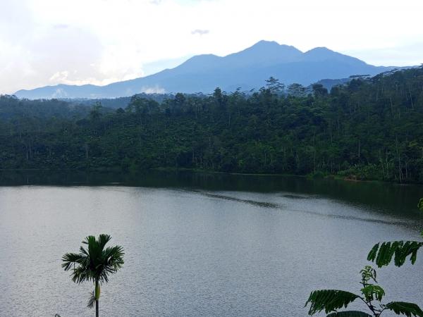 Tak Hanya Dikenal Dengan Wisata Alamnya, Desa di Probolinggo Ini Juga Kaya Durian, Kopi, dan Manggis
