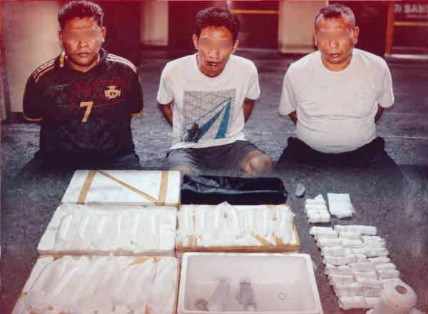 Gagal Selundupkan 23.000 Benih Lobster ke Jakarta, 3 Pelaku di Banyuwangi Dibekuk Polisi