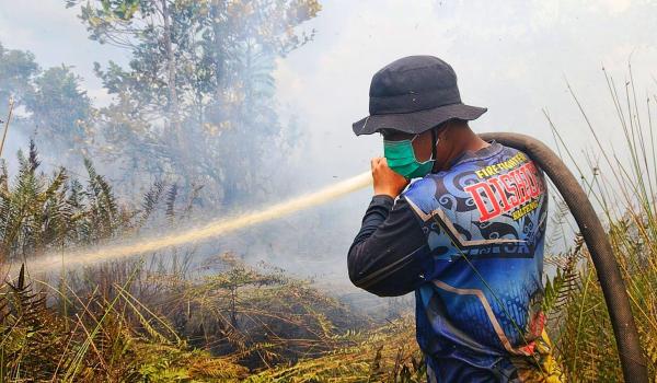 Tim Dalkarhutla Dishut Kalteng Padamkan 100 Hektare Karhutla, Tambah Personel Hadapi Musim Kemarau