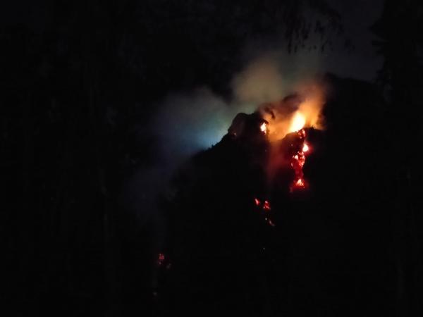 Api Hanguskan Tumpukan Sepah Tebu di Rejotangan Tulungagung, Kerugian Ditaksir Rp30 Juta
