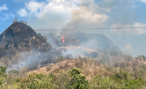 Hotspot Bermunculan di Jateng, Polisi Andalkan Citra Satelit NASA Cegah Karhutla Meluas