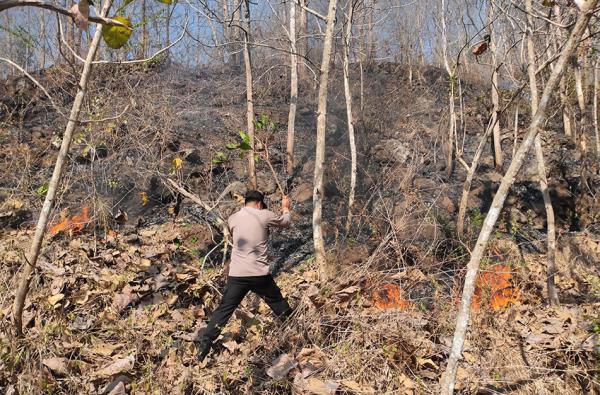 Karhutla Landa Sejumlah Wilayah di Jawa Tengah, Polda Jateng Tingkatkan Patroli Selama Kemarau