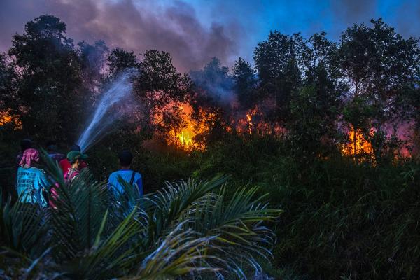 Potret Titik Kebakaran Lahan Makin Meningkat