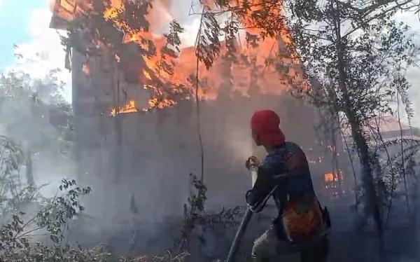 Karhutla Palangka Raya Hanguskan Gedung Sarang Walet, Pemilik Rugi Ratusan Juta Rupiah