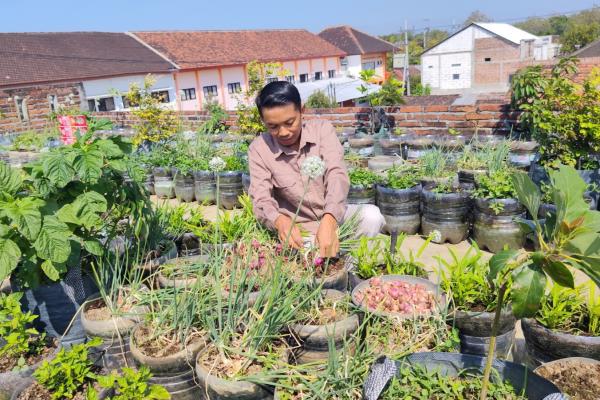 Inspiratif! Guru SMK di Ponorogo Manfaatkan Lantai Rumah Untuk Berkebun, Siswa Ikut Merawat