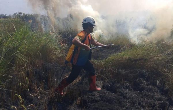 Sahroni Desak Polisi Ungkap Penyebab Karhutla Riau: Tak Mungkin Hanya karena Puntung Rokok!