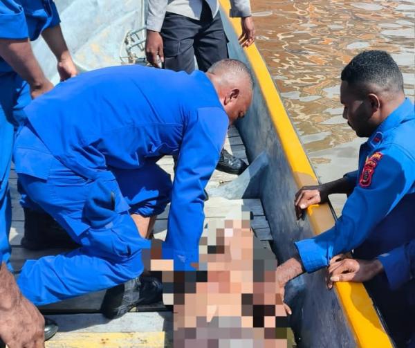 Ditpolairud Polda Papua Evakuasi Warga Tenggelam di Pantai Dok 2 Jayapura