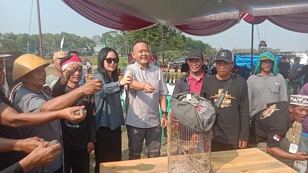 Ribuan Pencinta Perkutut Tumpah di Mataram, Suara Merdu Jadi Adu Gengsi