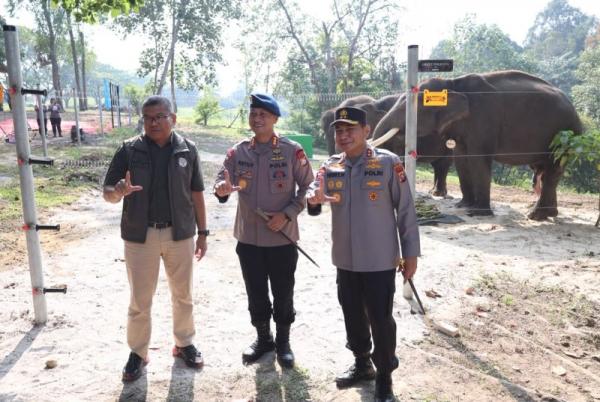 Bersama Balai Konservasi Jaga Alam, Polda Riau Hadirkan Breeding Area Gajah Sumatera di PLG Minas