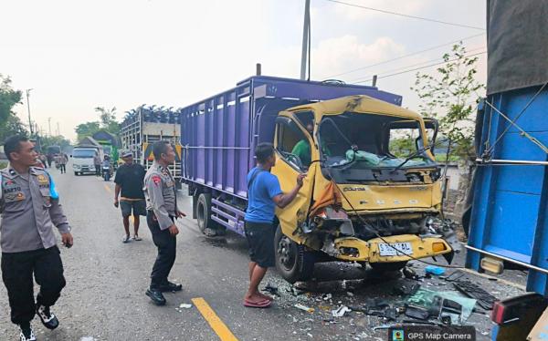 Kecelakaan Maut di Baureno Bojonegoro, Sopir Pikap Asal Madiun Tewas Adu Banteng dengan Truk