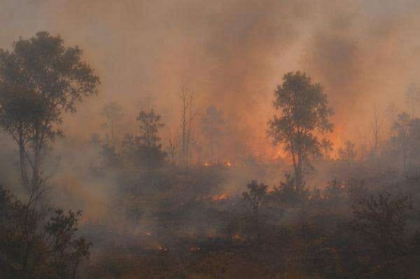 Kemarau Ekstrem Picu Kebakaran Lahan, BPBD Karawang Catat 50 Kejadian Sepanjang Agustus