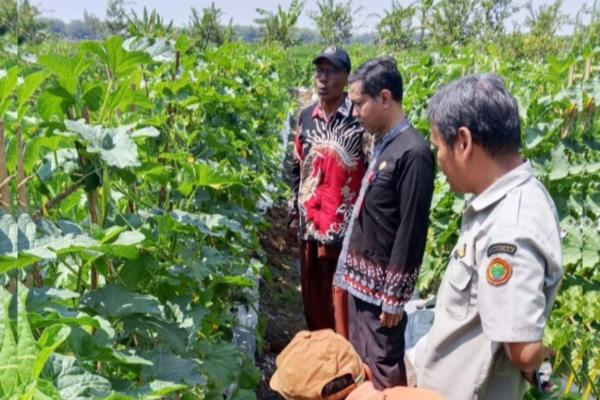Petani Bojonegoro Kembangkan Integrated Farming System, Satu Lahan Hasilkan Empat Komoditas